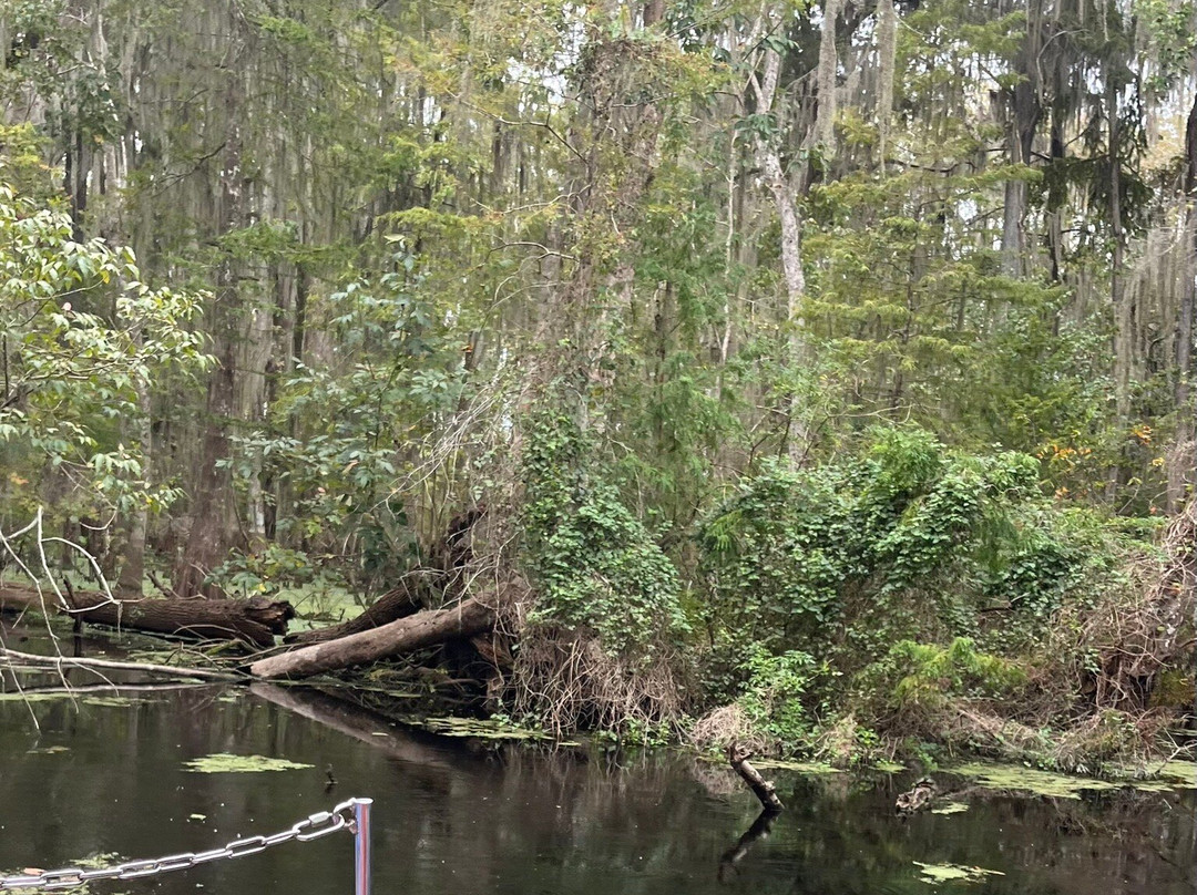 Swamp Fever Airboat Adventures-Lake Panasoffkee必去景点