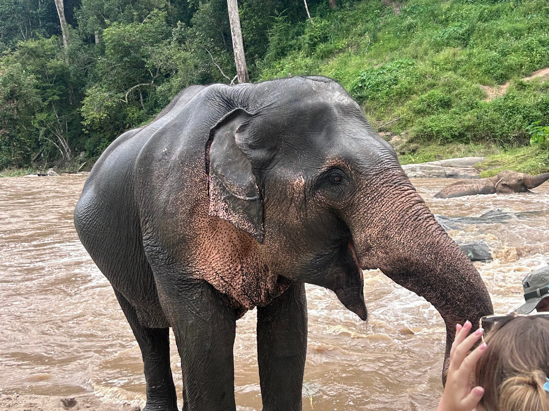 INTRO Travel-金边必去景点