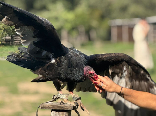Roma World-罗马必去景点