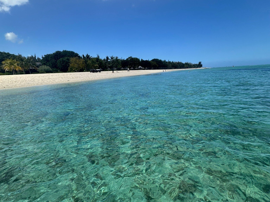 Vitamin Sea™-Black River必去景点