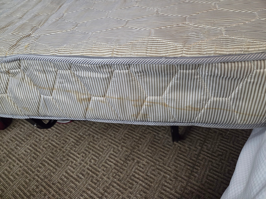 Comfort Inn & Suites Augusta Fort Gordon Area主图