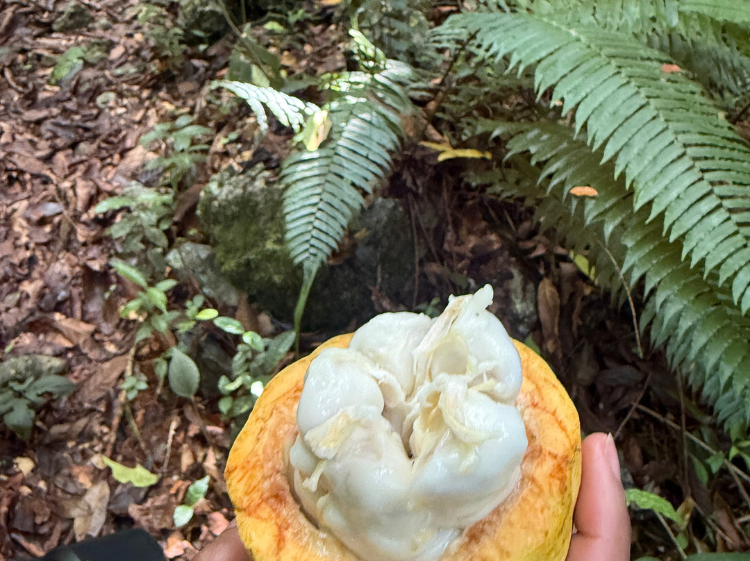 Sun Sand Spirit-圣多明哥必去景点