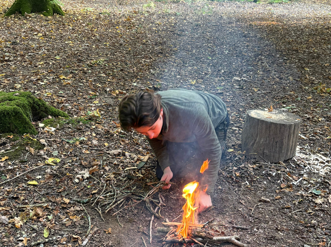 Wildway Bushcraft-Wimborne Minster必去景点