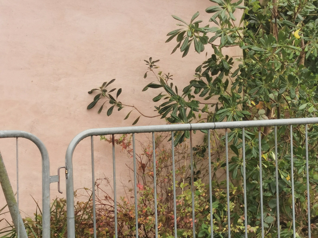 Bristol Zoo Project-Easter Compton必去景点