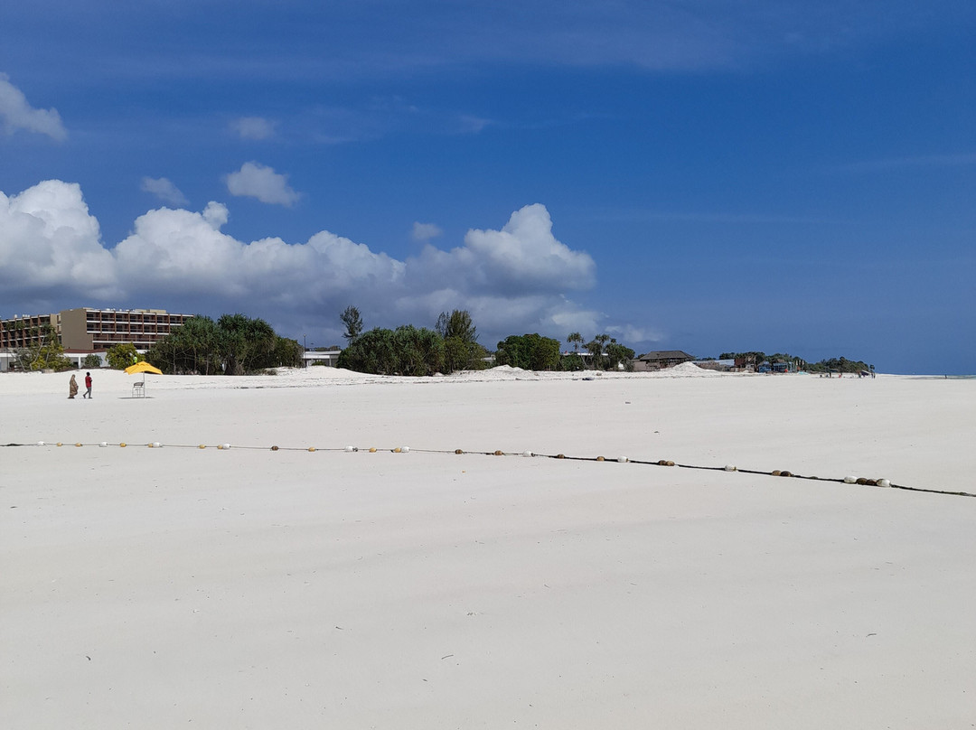 Eagle Ray Divers-Matemwe必去景点