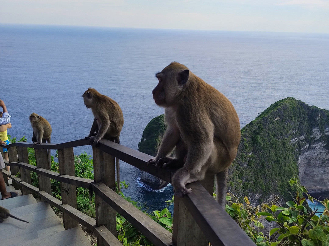 Nusa Penida Sea View-珀尼达岛必去景点
