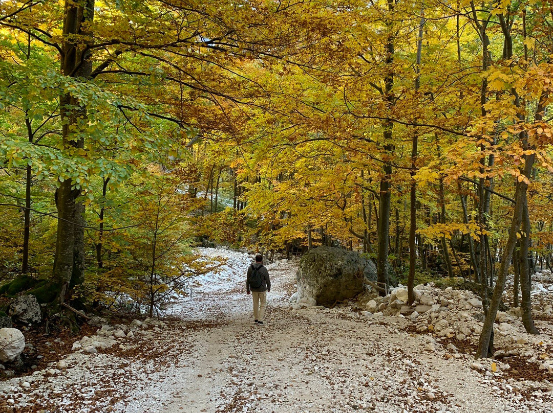 Rinka Waterfall-Solcava必去景点