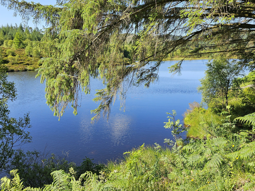 Three Lochs Forest Drive-Aberfoyle必去景点