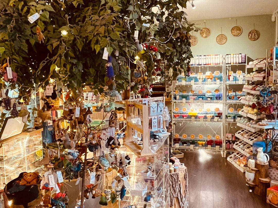 Tir na nOg Holistic Centre & Shop-Balfron必去景点