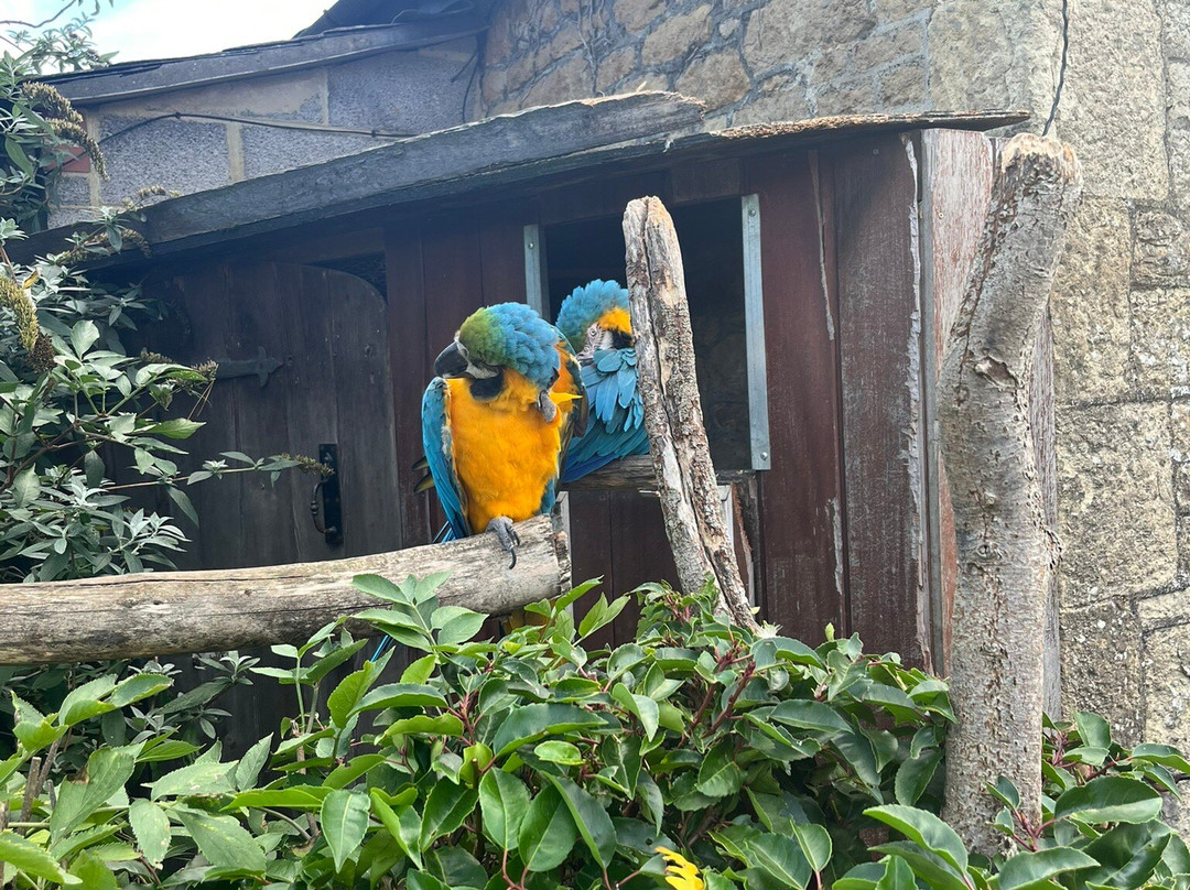 Old Down Country Park & Weddings-Old Down必去景点