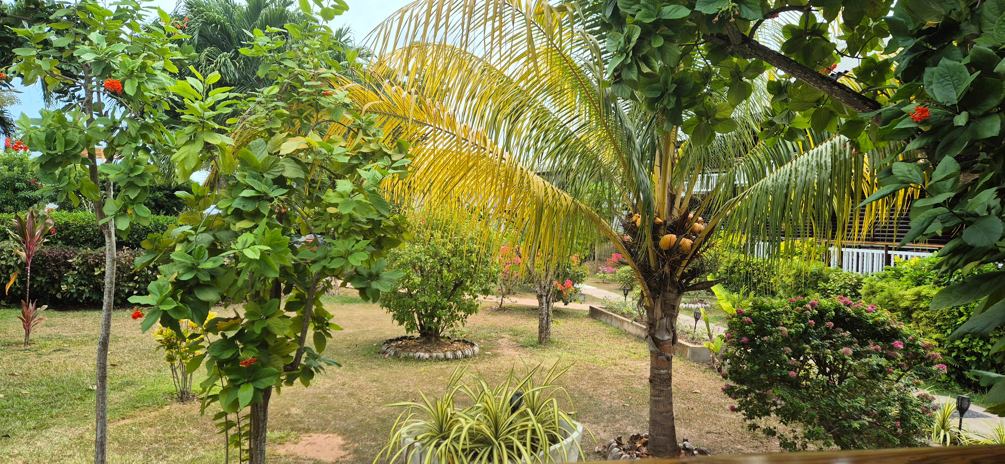 安卡菊海滩度假酒店-官方