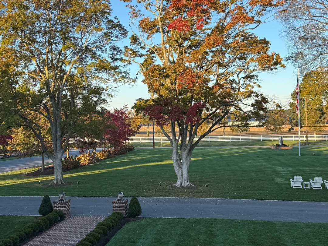 The Oaks Waterfront Hotel主图