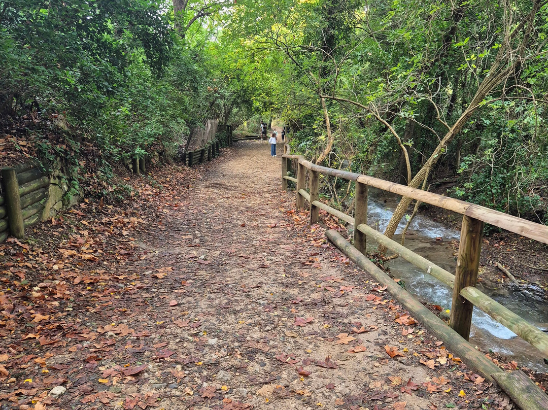 Parc de Saint-Pons-Gemenos必去景点