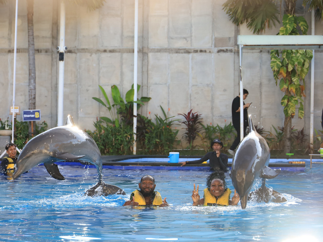 Bali Exotic Marine Park-登巴萨必去景点