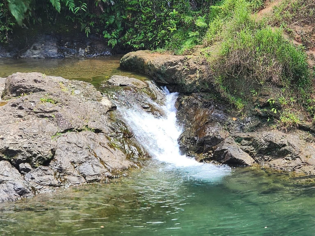 Exodus Tours And Travels Day Tours-乌提必去景点