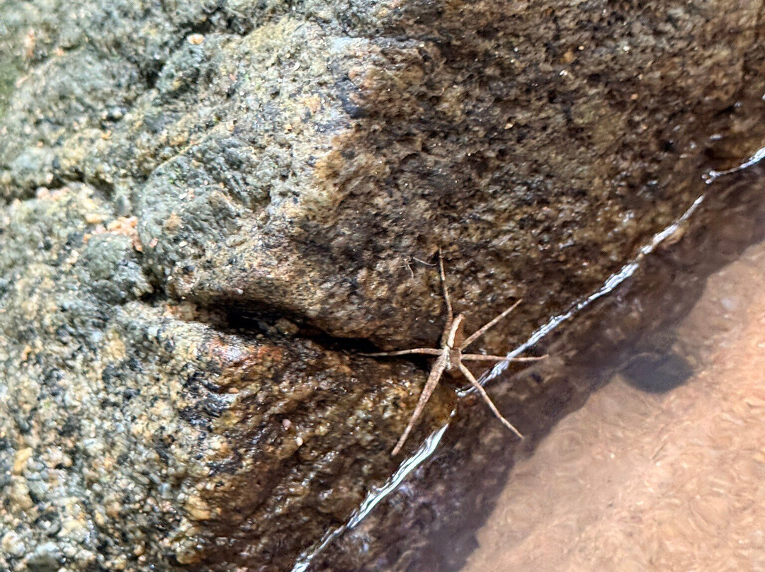 Chan Ta Then Waterfall-Bang Phra必去景点