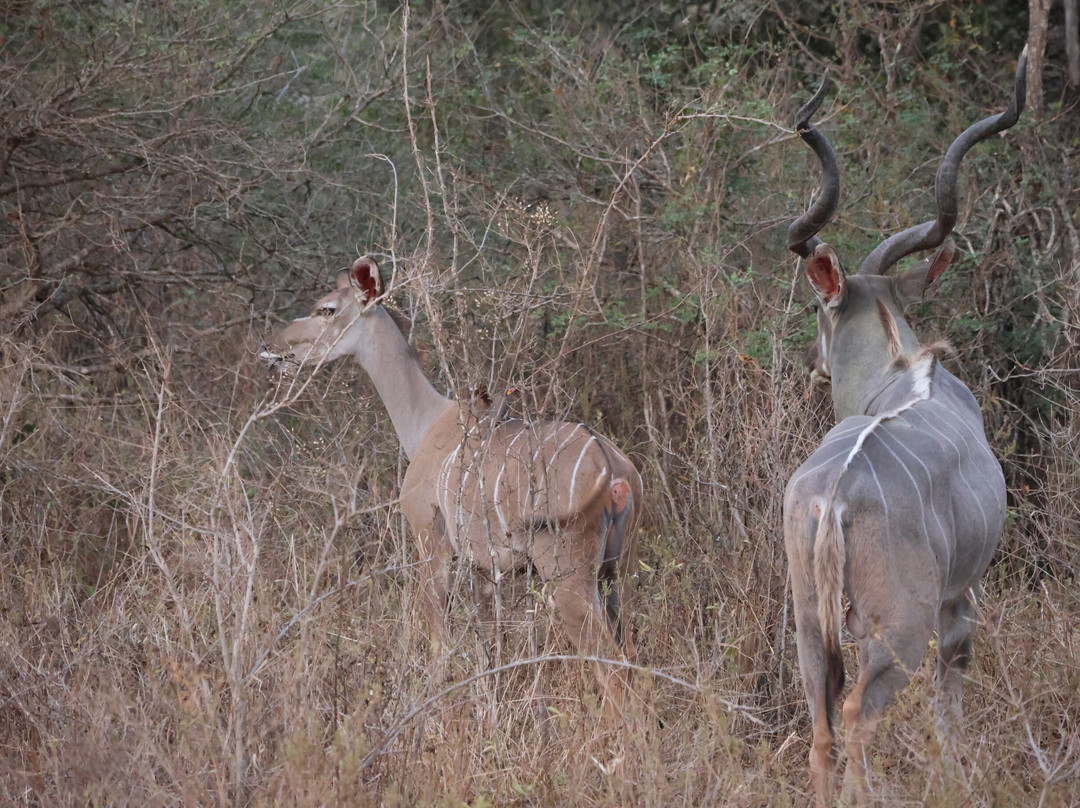 Msafiri Travels-Dar es Salaam必去景点
