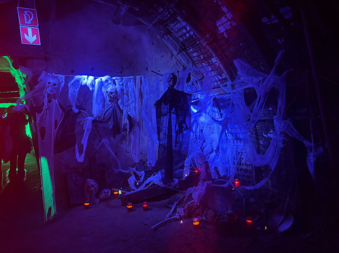 Erlebnisbergwerk Velsen-萨尔布吕肯必去景点