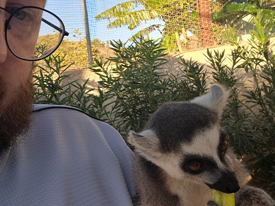Farma of Rhodes Petting Zoo-罗德斯必去景点