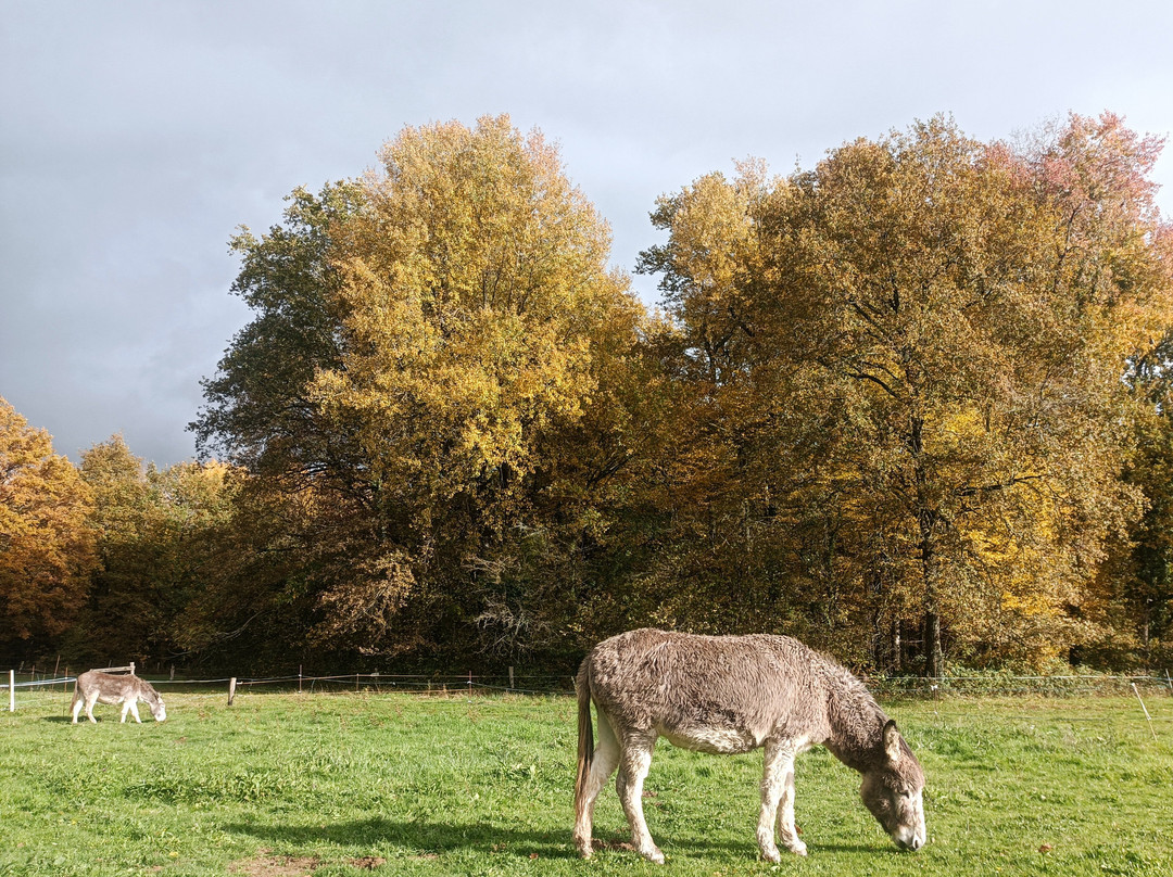Ferme Chene de Greletti-Chalais必去景点