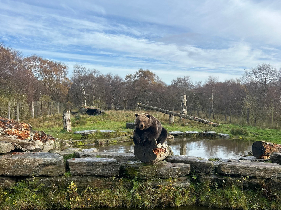 Wild Ireland-Burnfoot必去景点