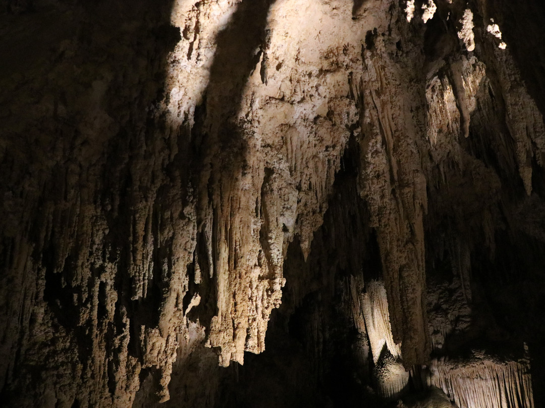 King's Palace-卡尔斯巴德洞穴国家公园必去景点