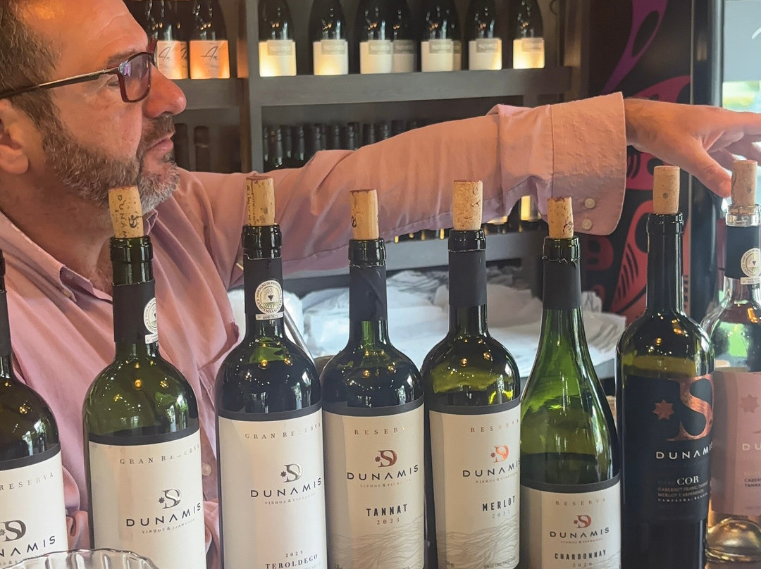 Loja - Dunamis Vinhos & Vinhedos-格拉玛多必去景点
