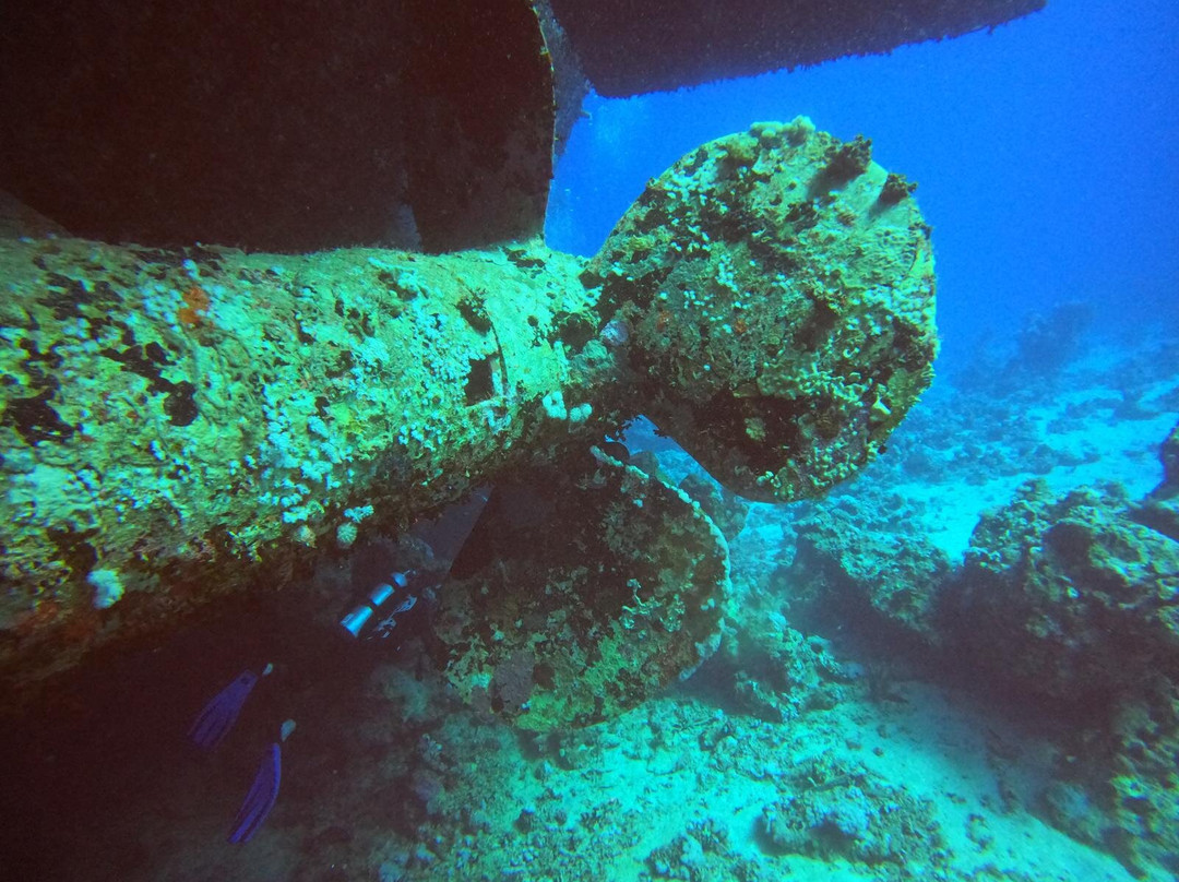 Freedom Divers Safaga-Port Safaga必去景点