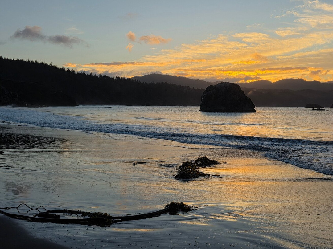 Castaway By the Sea主图