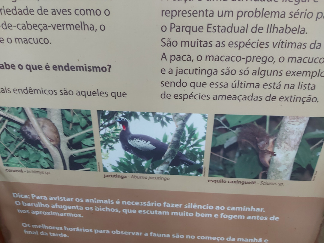 Dagami Tour Ilhabela-伊利亚贝拉必去景点