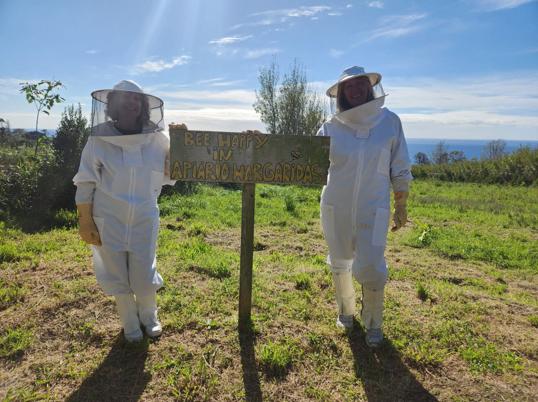 Apiário Margaridas-Fenais da Luz必去景点