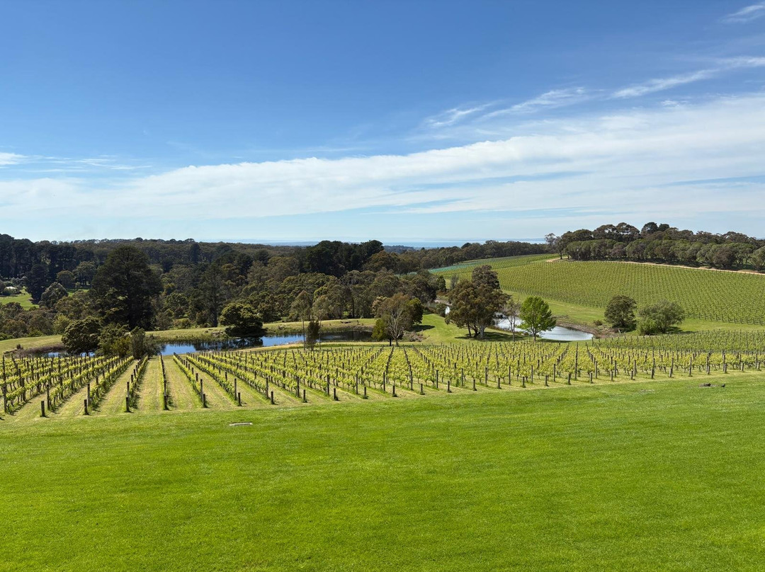 Amour of the Grape Tours-Rosebud必去景点