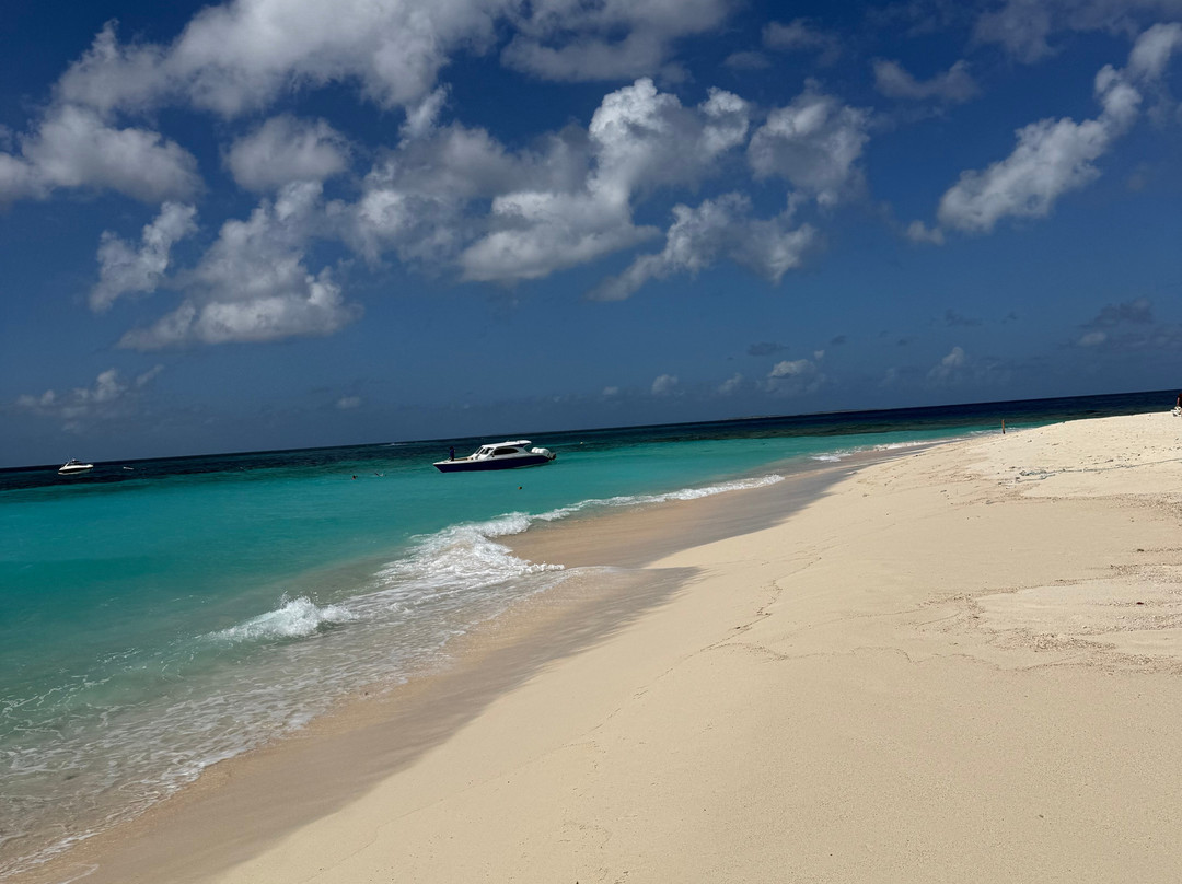 GoodLiving Charters-Sandy Ground必去景点