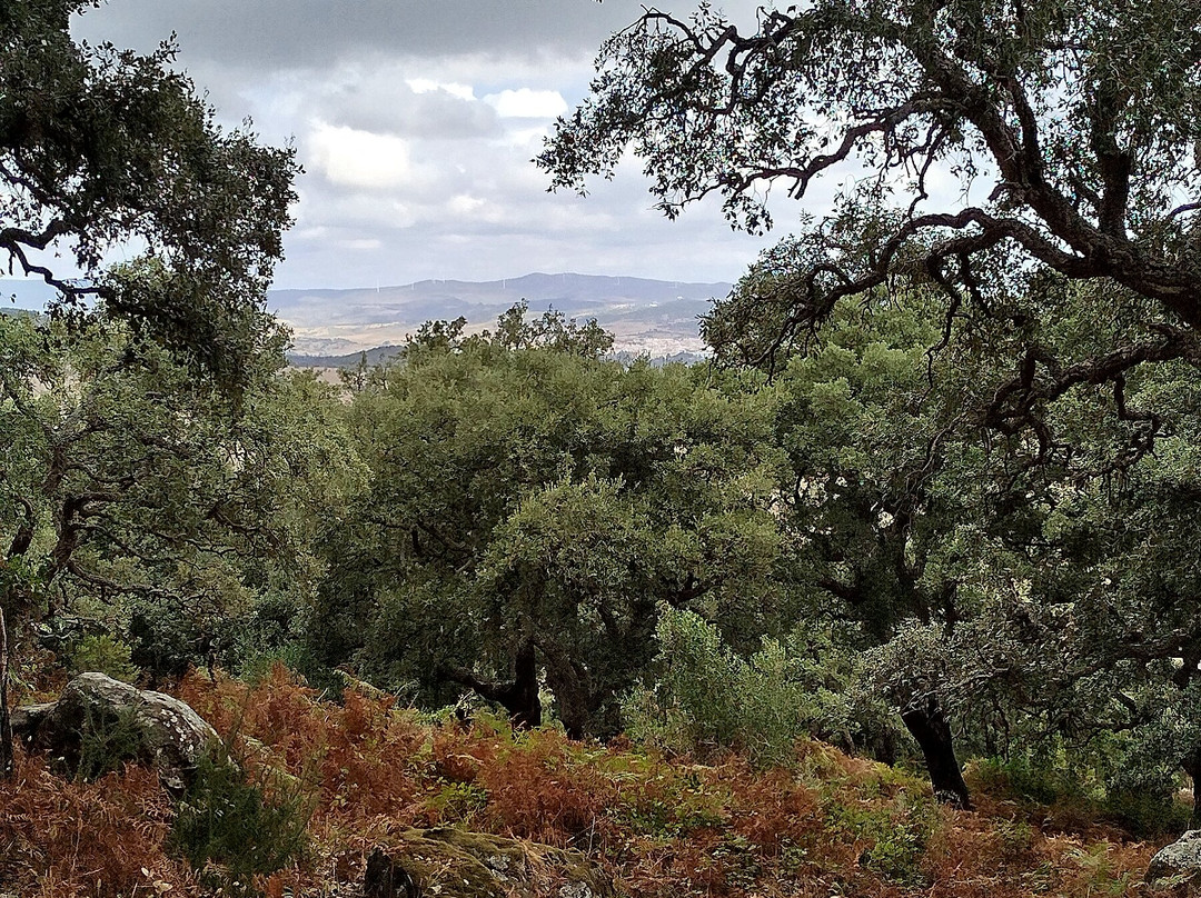 Sendero La Garganta del Capitan-阿尔赫西拉斯必去景点
