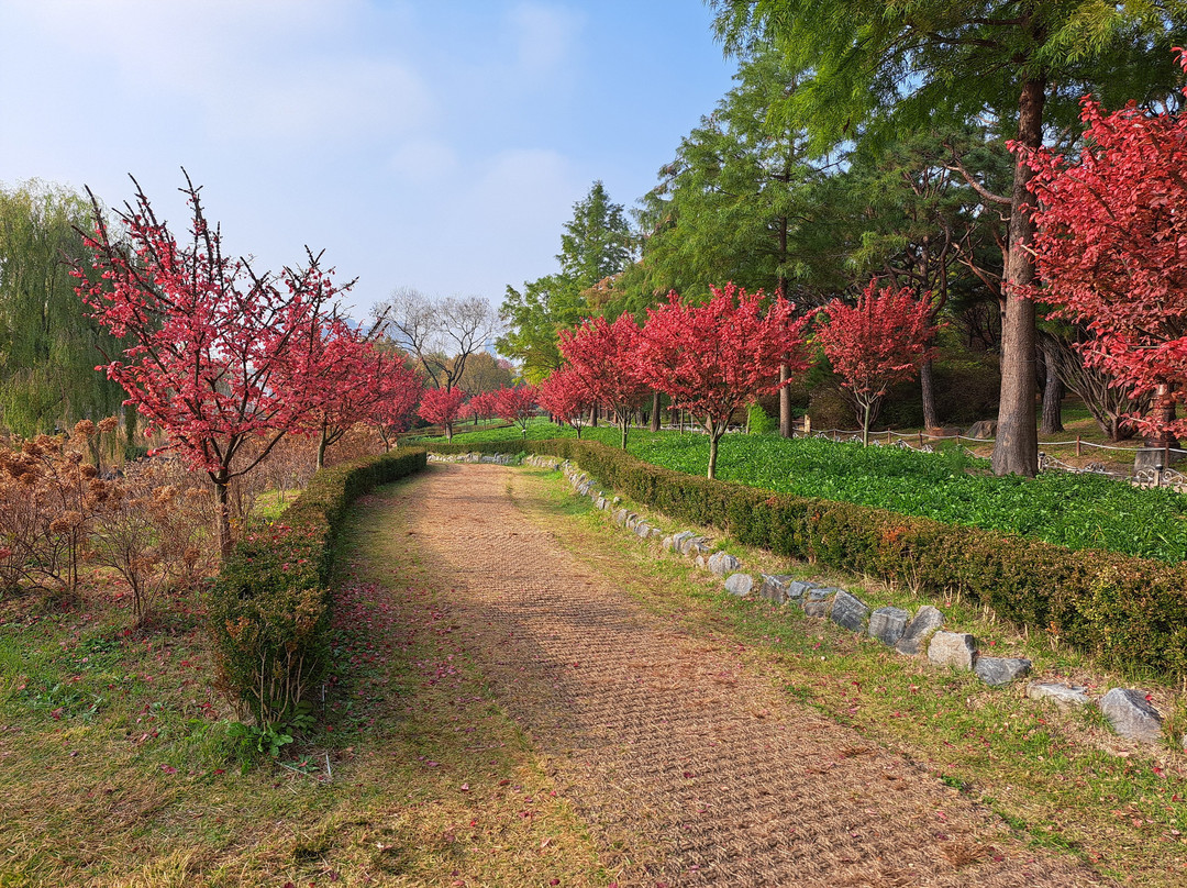 Hanbat Arboretum-大田必去景点