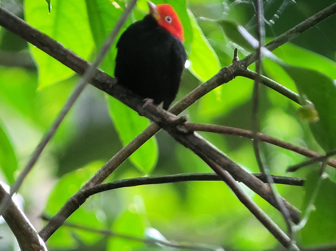 Surcos Tours-希门尼斯港必去景点