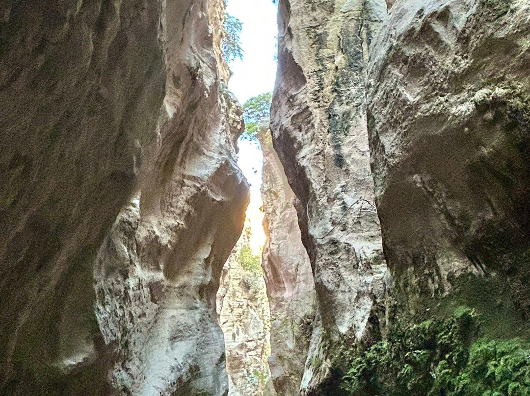 Avakas Gorge-帕福斯必去景点