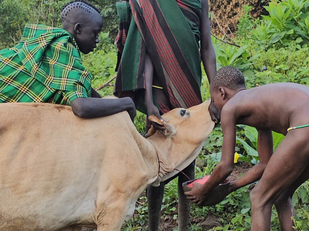 Aman Ethiopia Tours-亚的斯亚贝巴必去景点