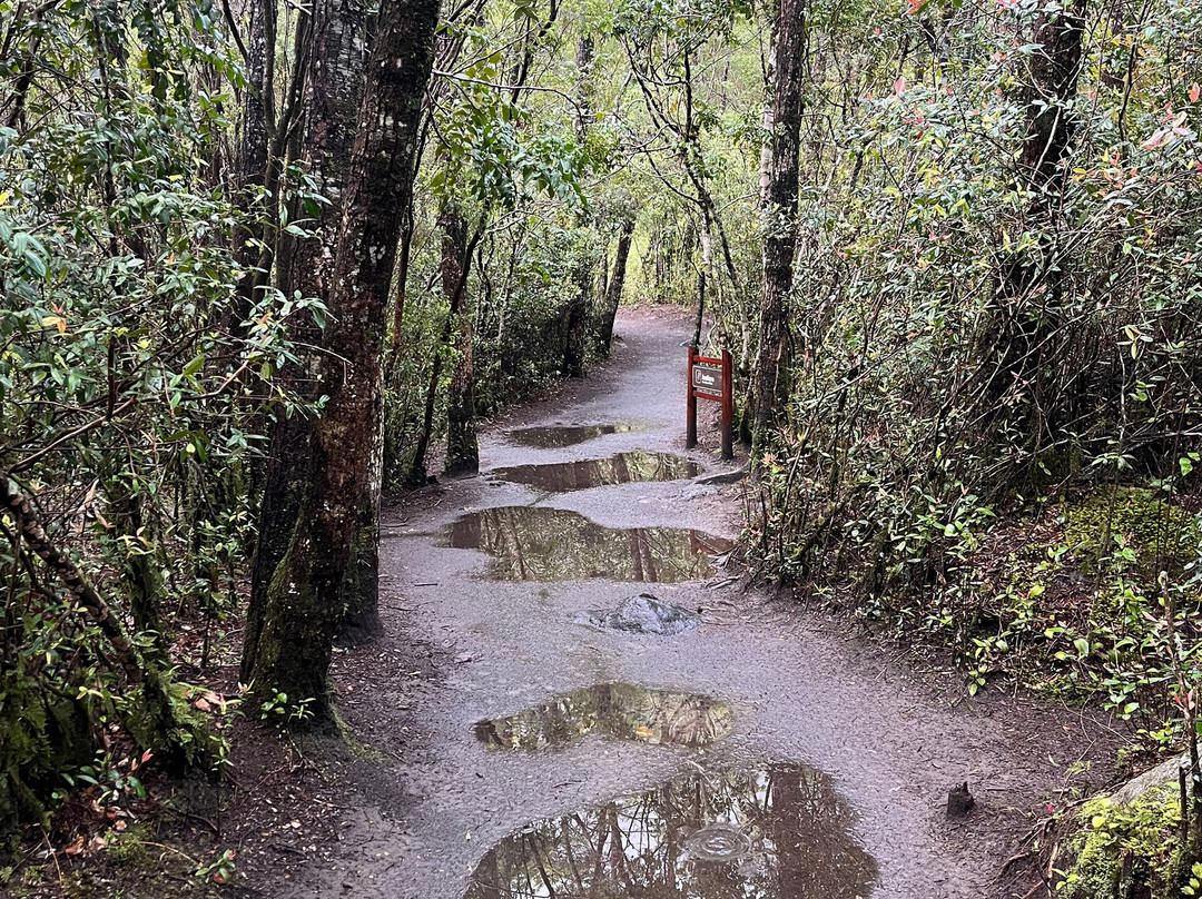 Saltos del Petrohue-巴拉斯港必去景点