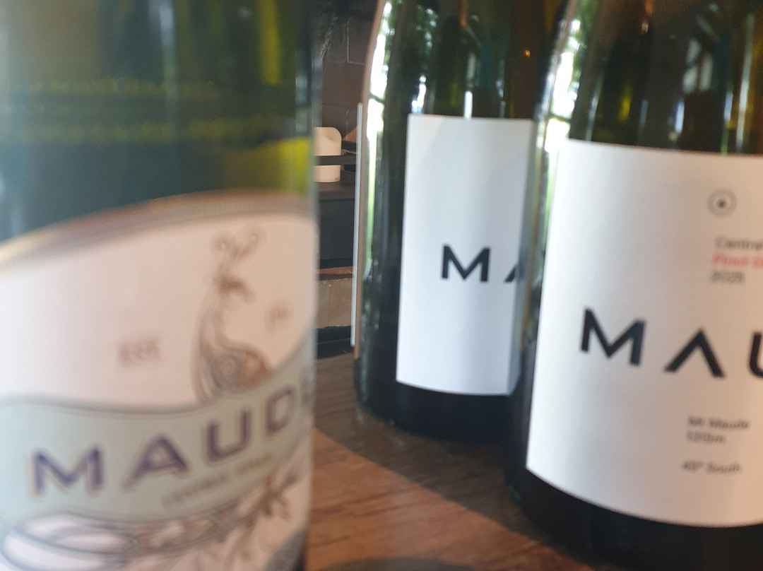 Maude Wines-瓦纳卡必去景点