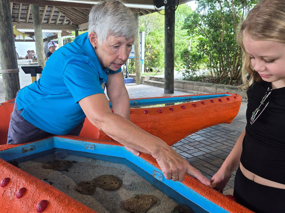 Florida Oceanographic Coastal Center-斯图尔特必去景点