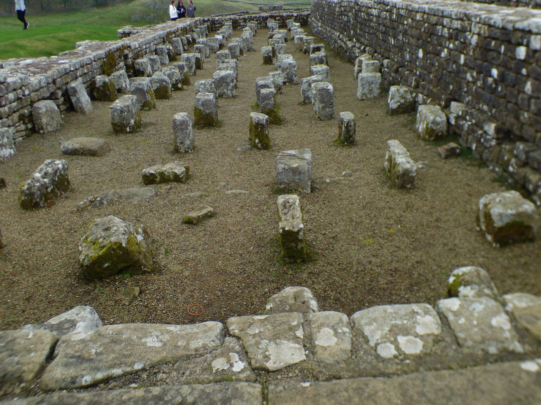 Housesteads Roman Fort - Hadrian's Wall-Haydon Bridge必去景点