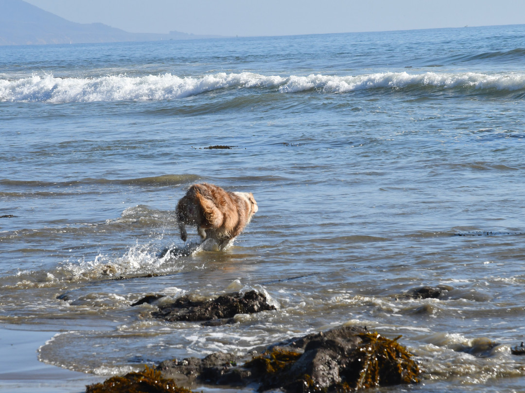 卡尤寇斯海滩酒店主图