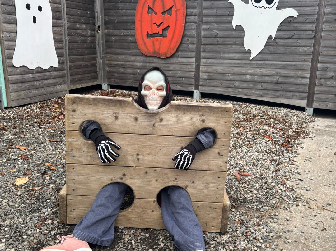 Woodlands Family Theme Park-达特茅斯必去景点