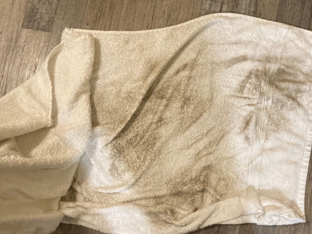 Super 8 by Wyndham Lafayette / Purdue Area主图