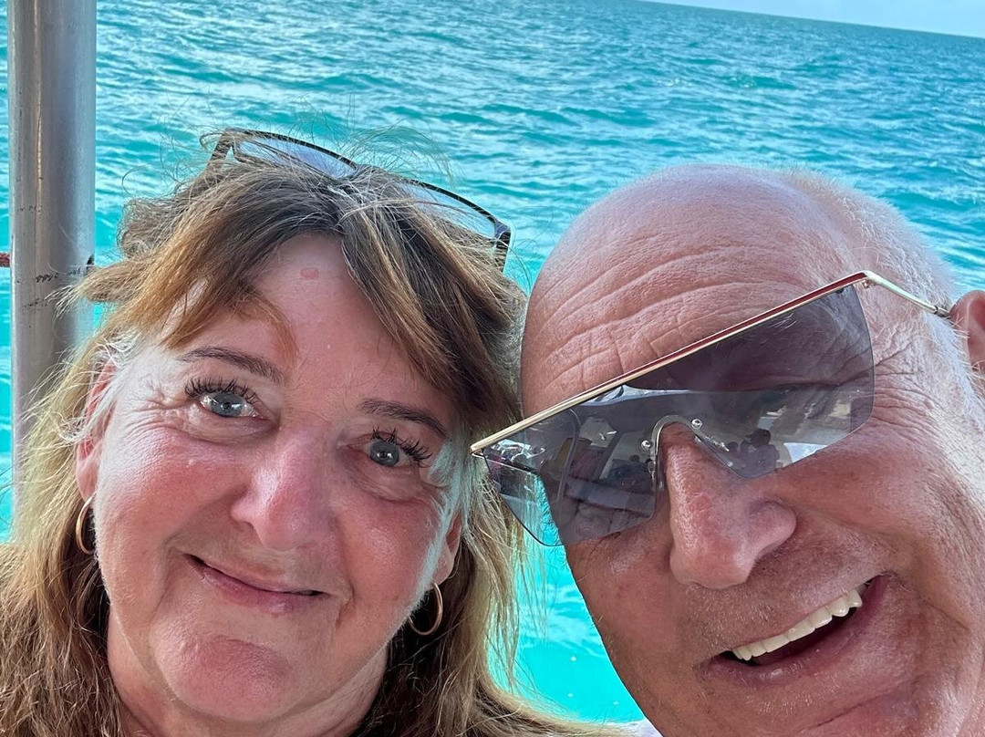 Wadadli Cats-安提瓜必去景点