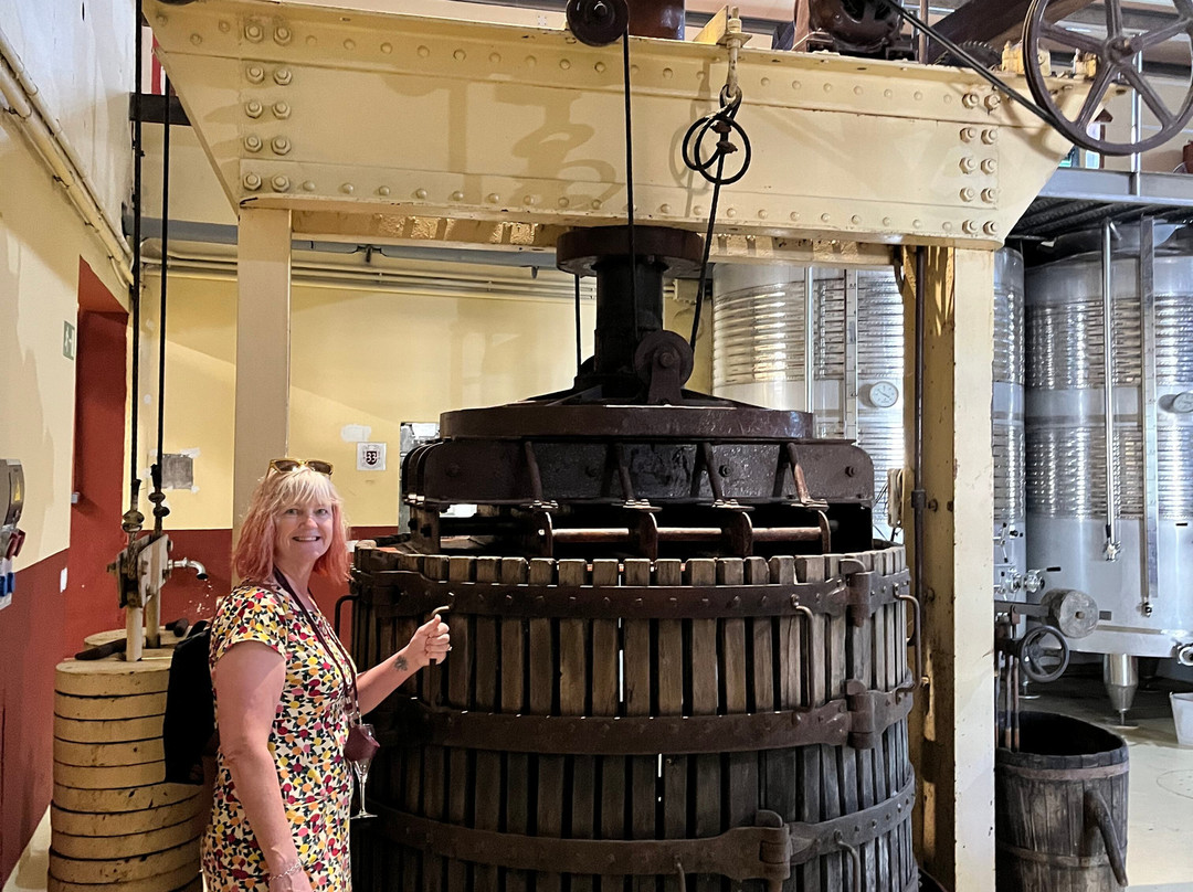 Bodegas Jose L Ferrer-Binissalem必去景点