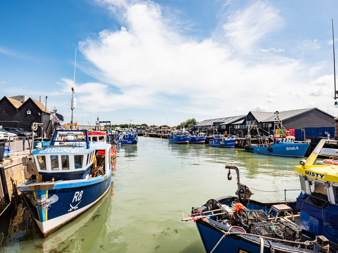 Whitstable Harbour-惠茨特布尔必去景点