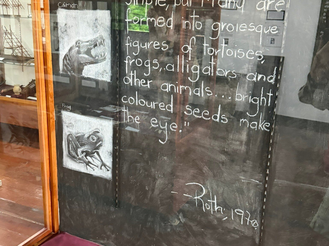 Walter Roth Museum of Anthropology-乔治城必去景点