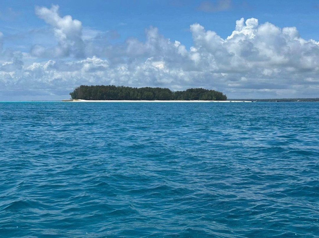 Mnemba Island-姆内巴必去景点